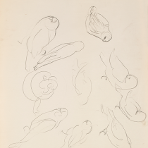Sketches